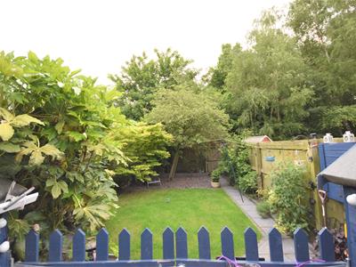 Picture 30
